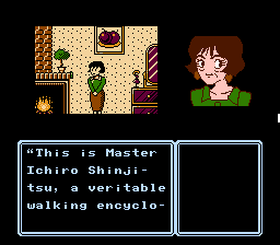 nes_idolhakte.png