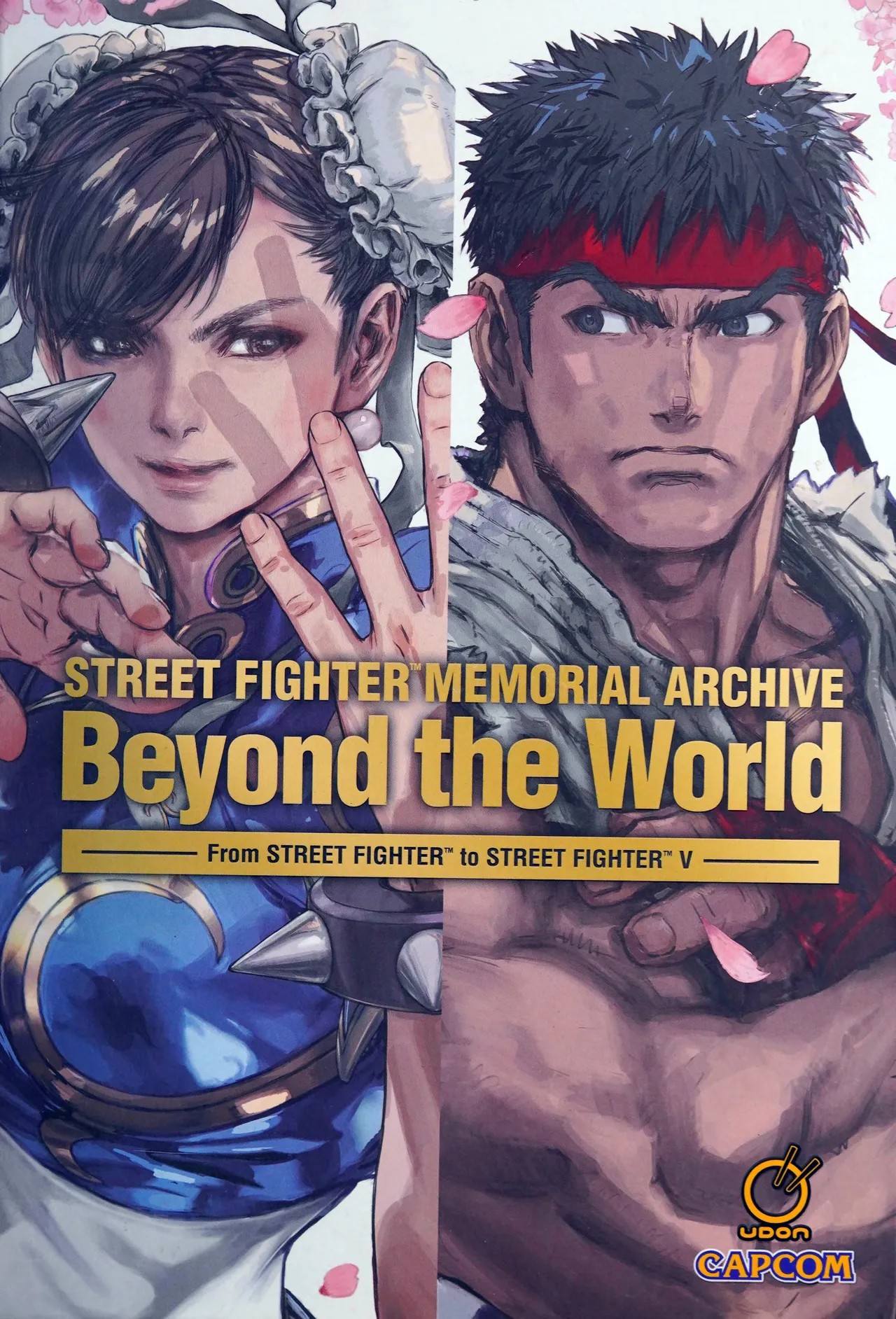 000_Street_Fighter_Memorial_Archive_Beyond_The_World.jpg